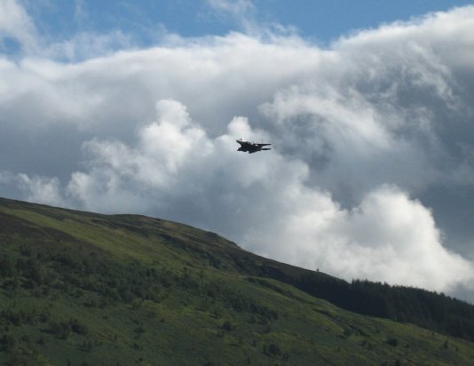 Img_1750 cropped.jpg